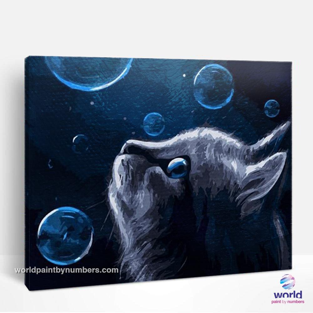 Cat and Soap Bubbles - World Paint by Numbers™ Kits DIY