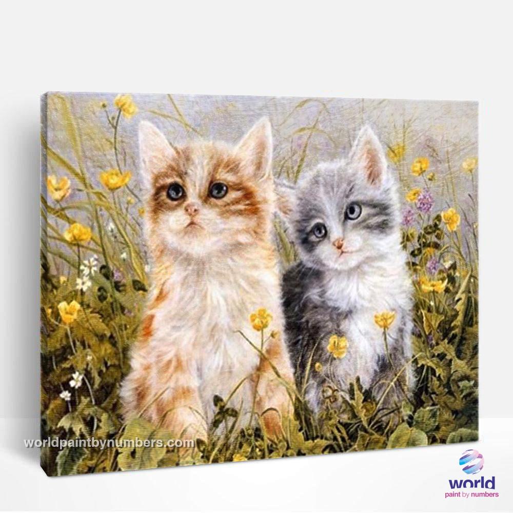 Couple of Kittens in the Garden - World Paint by Numbers™ Kits DIY