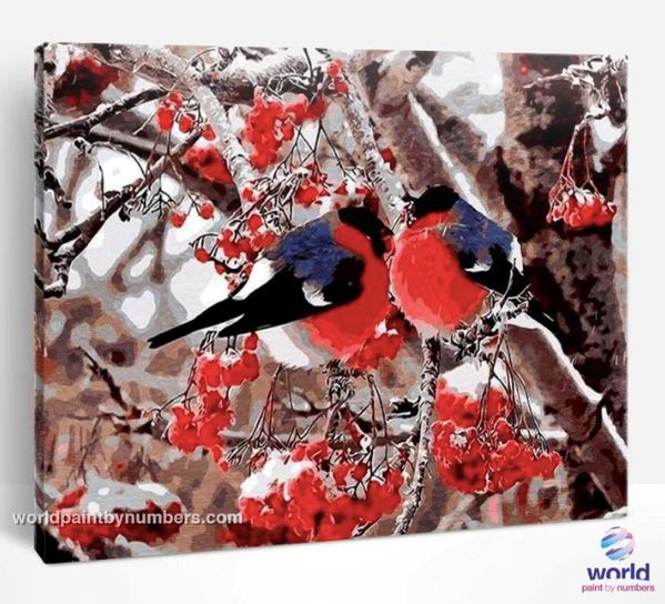 Birds in the World of Painting by Numbers: Top 6 most wanted