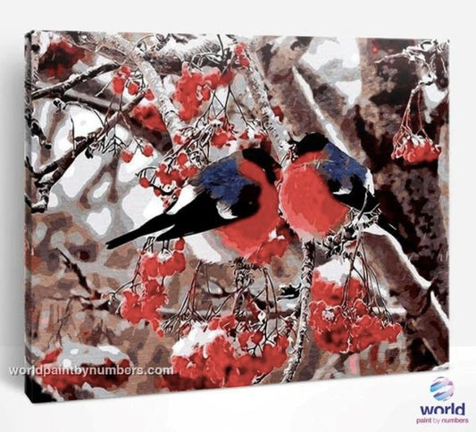 Birds in the World of Painting by Numbers: Top 6 most wanted