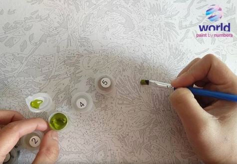 How to start a Painting by Numbers