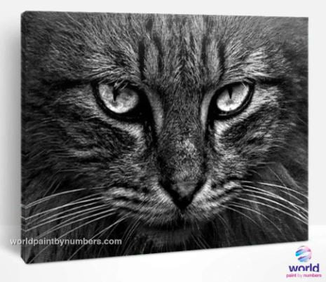 Paintings by numbers that cat lovers can't miss