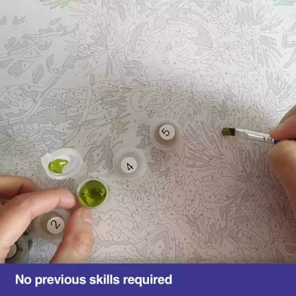 Rivendell Lord of the Rings Elf Kingdom  - World Paint by Numbers™ Kits DIY