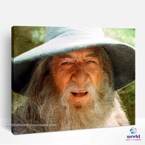Gandalf the Grey - Lord of the Rings - Paint by Numbers Kits for Adults