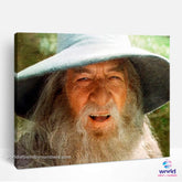 Gandalf the Grey - Lord of the Rings - World Paint by Numbers™ Kits DIY