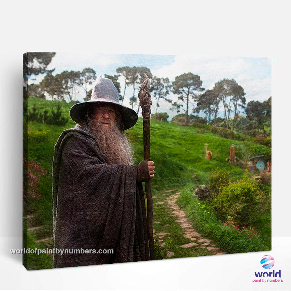 Gandalf in the Shire - Lord of the Rings - World Paint by Numbers™ Kits DIY