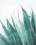 Aloe Vera - Leaf Collection - World Paint by Numbers™ Kits DIY