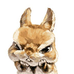 Angry Bunny - World Paint by Numbers™ Kits DIY