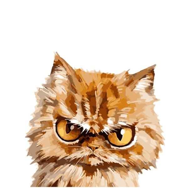 Angry Kitty - World Paint by Numbers™ Kits DIY