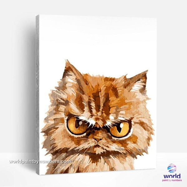 Angry Kitty - World Paint by Numbers™ Kits DIY