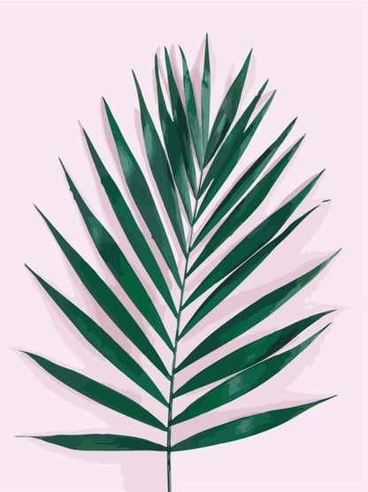Areca Palm - Leaf Collection - World Paint by Numbers™ Kits DIY