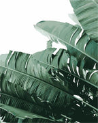 Banana Tree - Leaf Collection - World Paint by Numbers™ Kits DIY