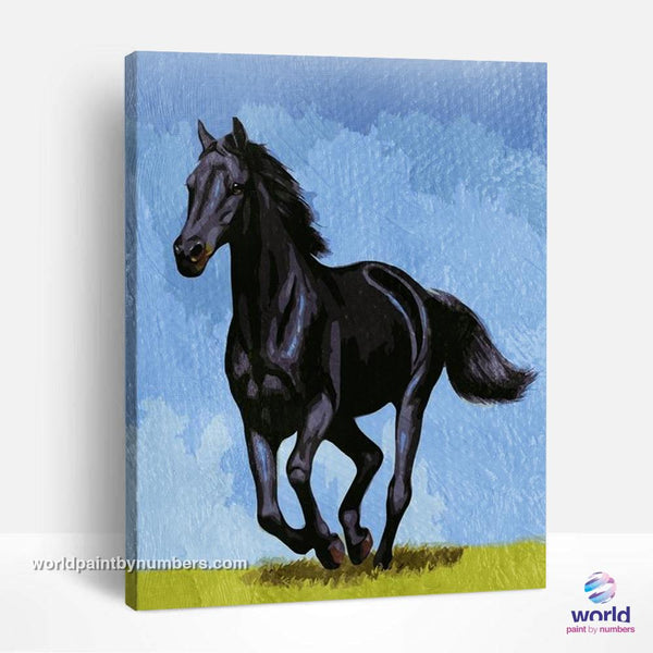Black Arabian Horse - World Paint by Numbers™ Kits DIY