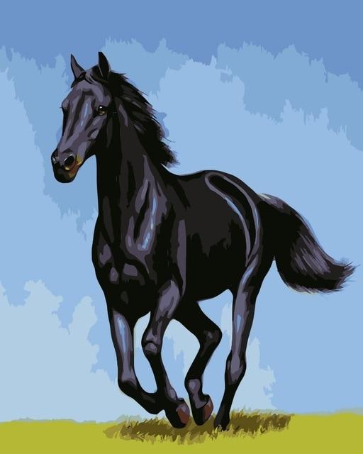 Black Arabian Horse - World Paint by Numbers™ Kits DIY