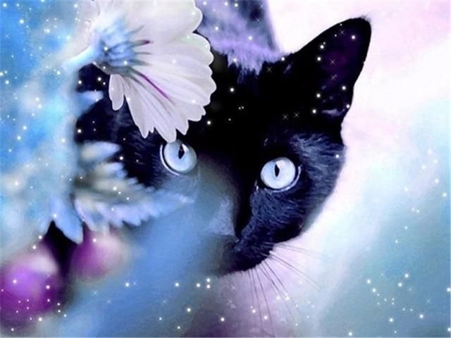 Black Cat in Snowy Garden - World Paint by Numbers™ Kits DIY