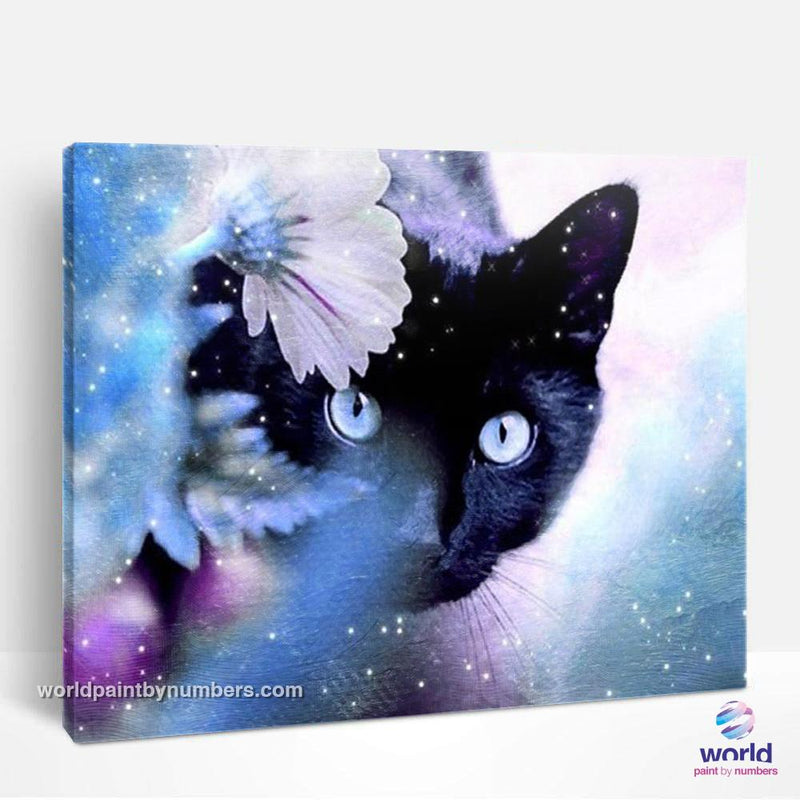 Black Cat in Snowy Garden - World Paint by Numbers™ Kits DIY