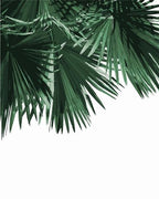 Blue Palm - Leaf Collection - World Paint by Numbers™ Kits DIY