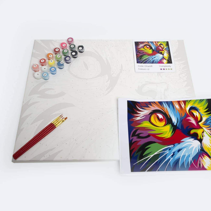 Color Cat - World Paint by Numbers Kits DIY