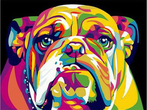 Colorful Bulldog - World Paint by Numbers™ Kits DIY