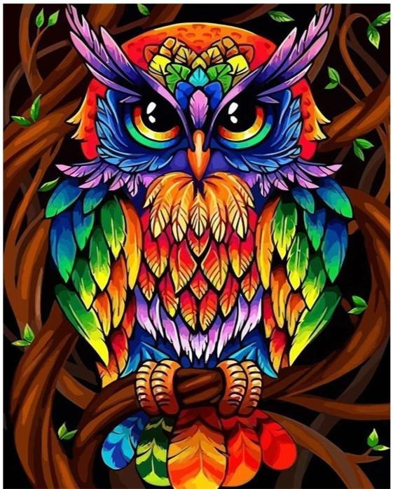 Colorful Owl - World Paint by Numbers™ Kits DIY