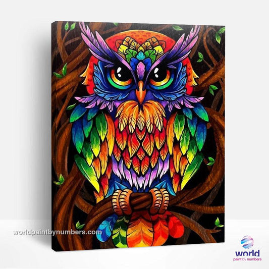 Colorful Owl - World Paint by Numbers™ Kits DIY