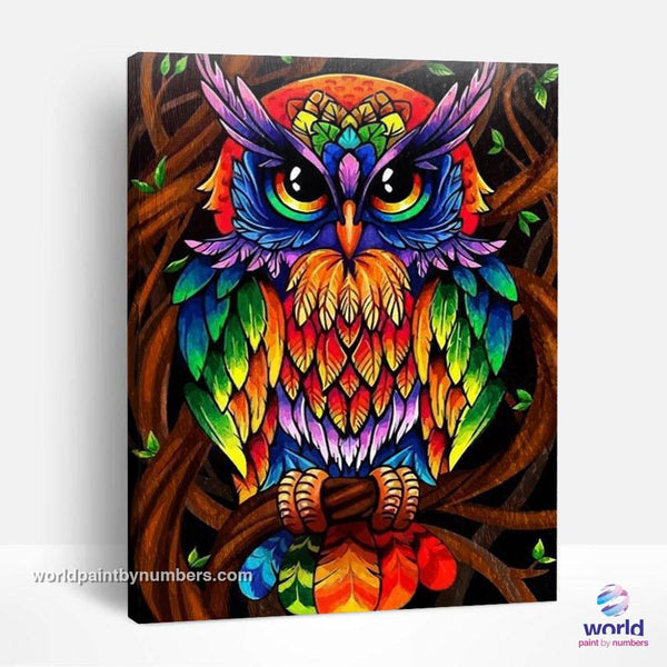Colorful Owl - World Paint by Numbers Kits DIY