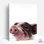 Cute Piggy - World Paint by Numbers™ Kits DIY