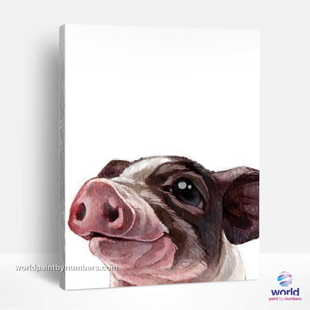 Cute Piggy - World Paint by Numbers™ Kits DIY