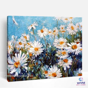 Daisies Garden - World Paint by Numbers™ Kits DIY
