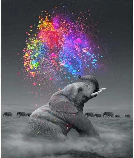 Elephant Happiness Water Explosion - World Paint by Numbers™ Kits DIY