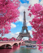 Flowery Paris - World Paint by Numbers™ Kits DIY