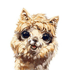 Happy Llama - World Paint by Numbers™ Kits DIY