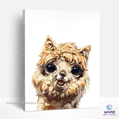 Happy Llama - World Paint by Numbers™ Kits DIY