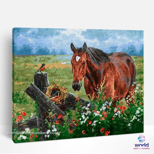 Horse, Bird and Flowers - World Paint by Numbers™ Kits DIY