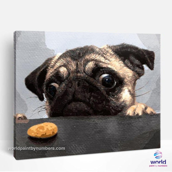Hungry French Bulldog - World Paint by Numbers™ Kits DIY