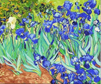 Irises by Vicent Van Gogh - World Paint by Numbers™ Kits DIY