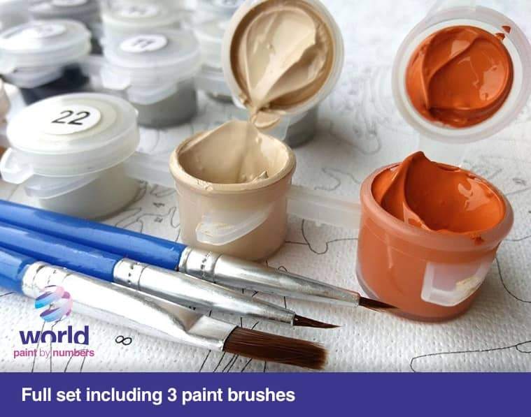 Irises by Vicent Van Gogh - World Paint by Numbers™ Kits DIY