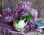 Lilas Hydrangea - World Paint by Numbers™ Kits DIY