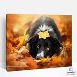 Maple Leaf Dog - World Paint by Numbers™ Kits DIY
