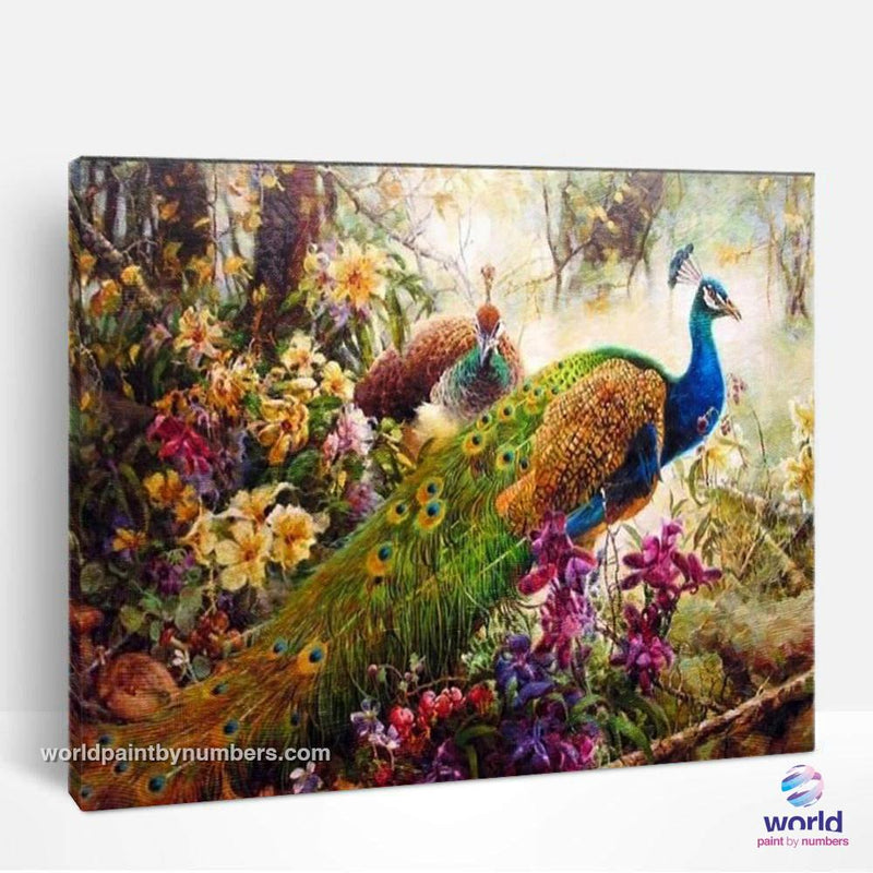 Peacock - World Paint by Numbers™ Kits DIY