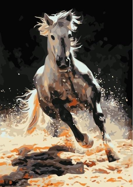 Purebred Arabian Stallion - World Paint by Numbers™ Kits DIY