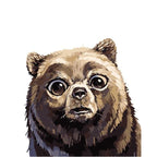 Scared Bear - World Paint by Numbers™ Kits DIY