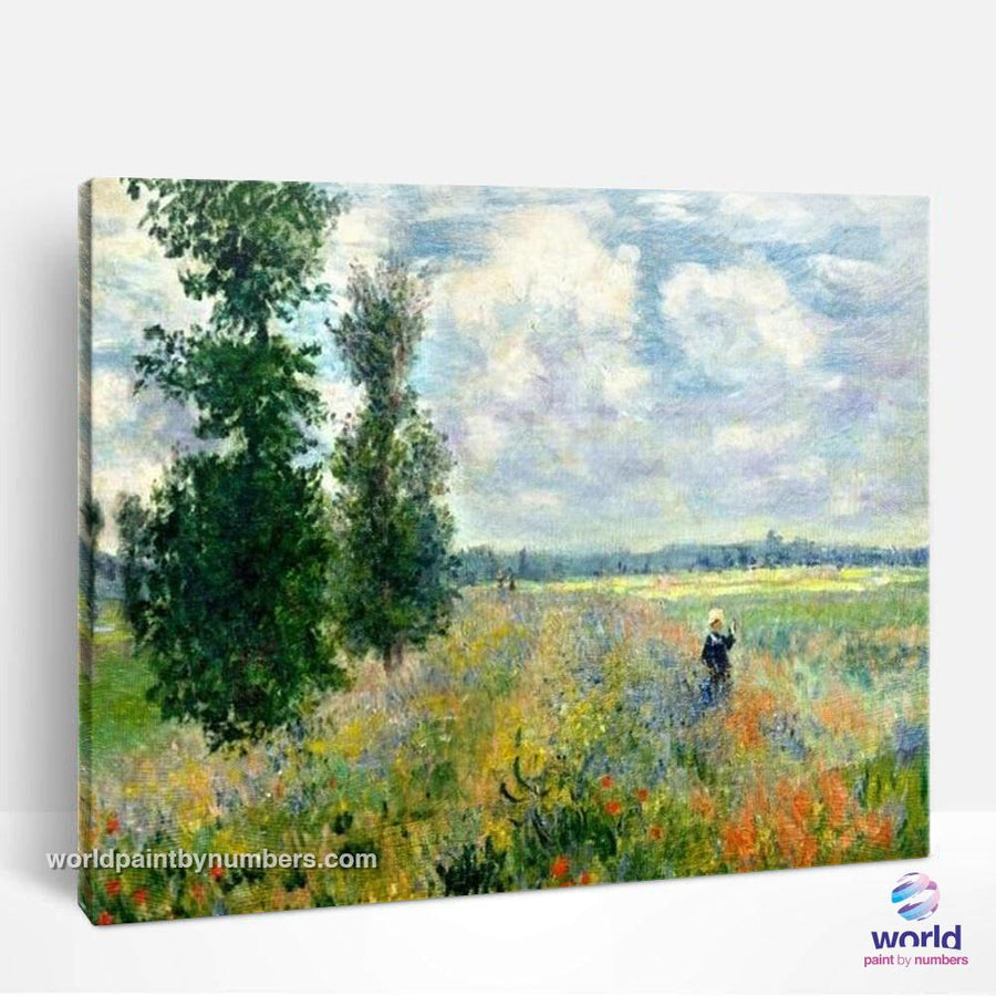 The Poppy Field near Argenteuil by Claude Monet - World Paint by Numbe