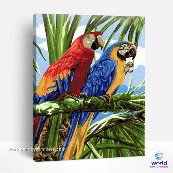 Tropical Macaw Couple - World Paint by Numbers™ Kits DIY