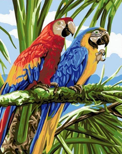 Tropical Macaw Couple - World Paint by Numbers™ Kits DIY