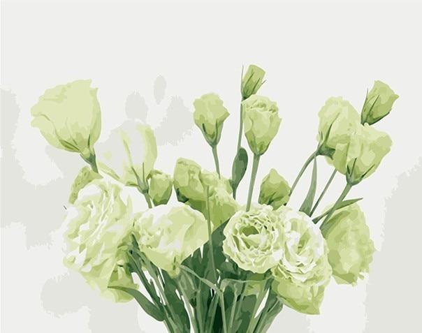 White & Green Roses - Leaf Collection - World Paint by Numbers™ Kits DIY