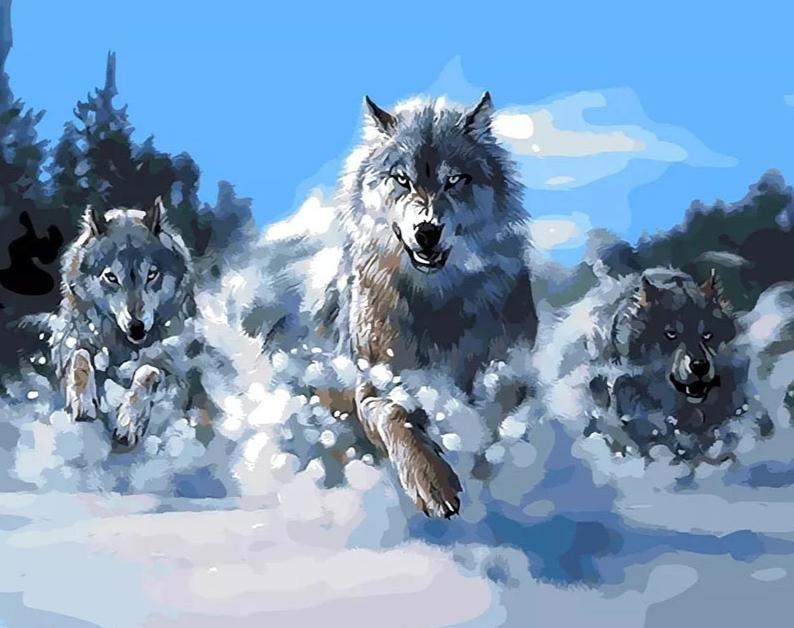 Wolves in the Snow - World Paint by Numbers™ Kits DIY